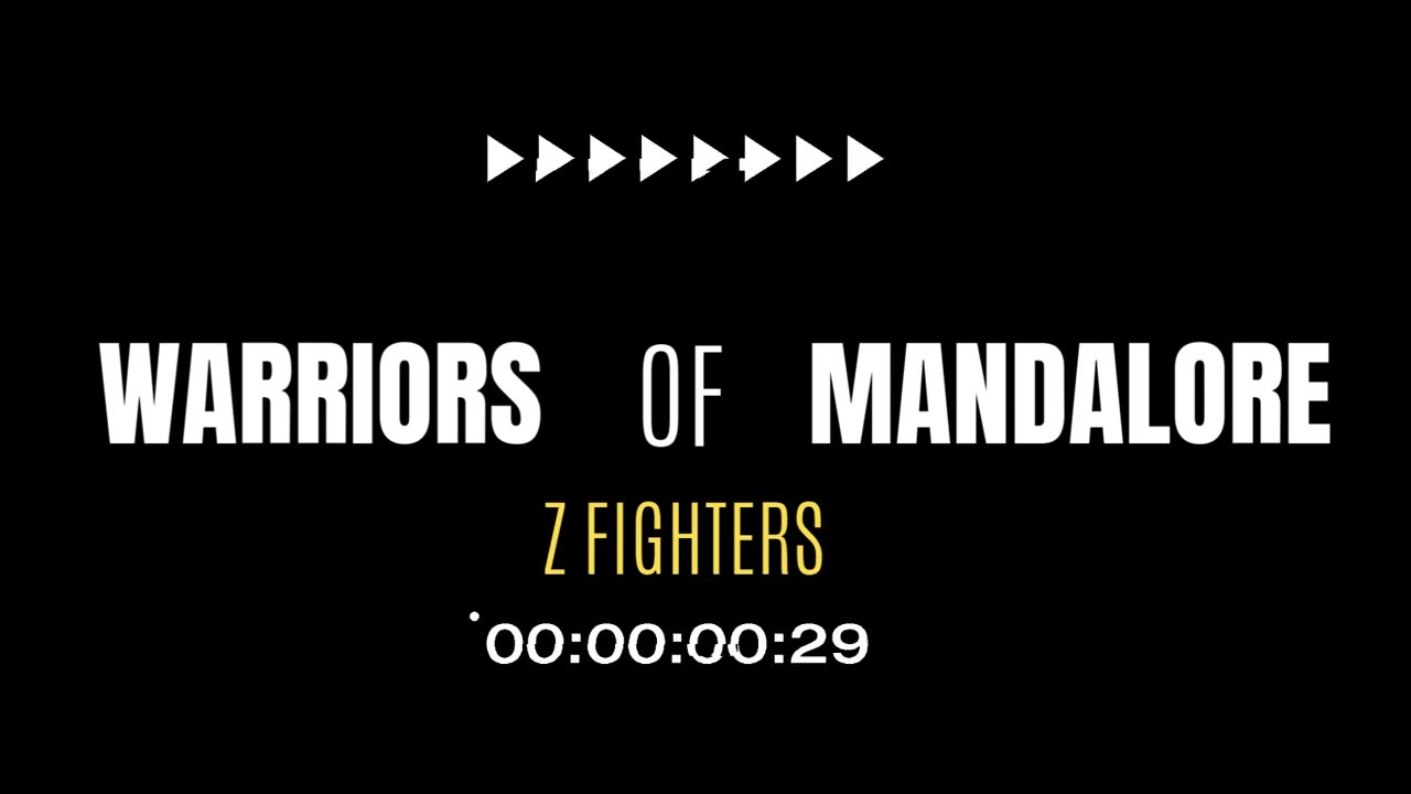 Z Fighters