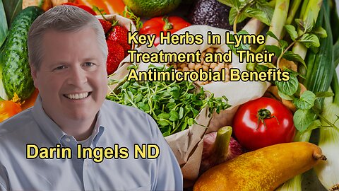 Key Herbs Used in Treating Lyme Disease and Their Broad-Spectrum Antimicrobial Properties