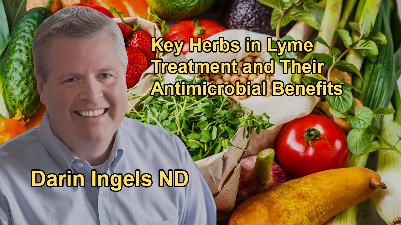 Key Herbs Used in Treating Lyme Disease and Their Broad-Spectrum Antimicrobial Properties