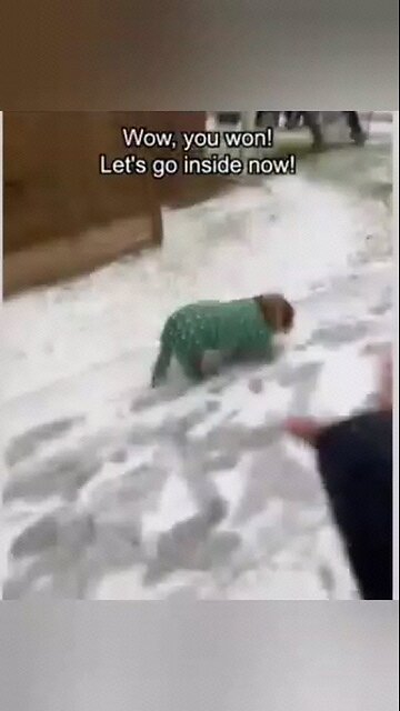 try not to laugh/ Funny animals