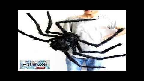 Halloween Decoration Plush Spider Black Fake Realistic Spider Web Yard/garden Decor Outdoor Review