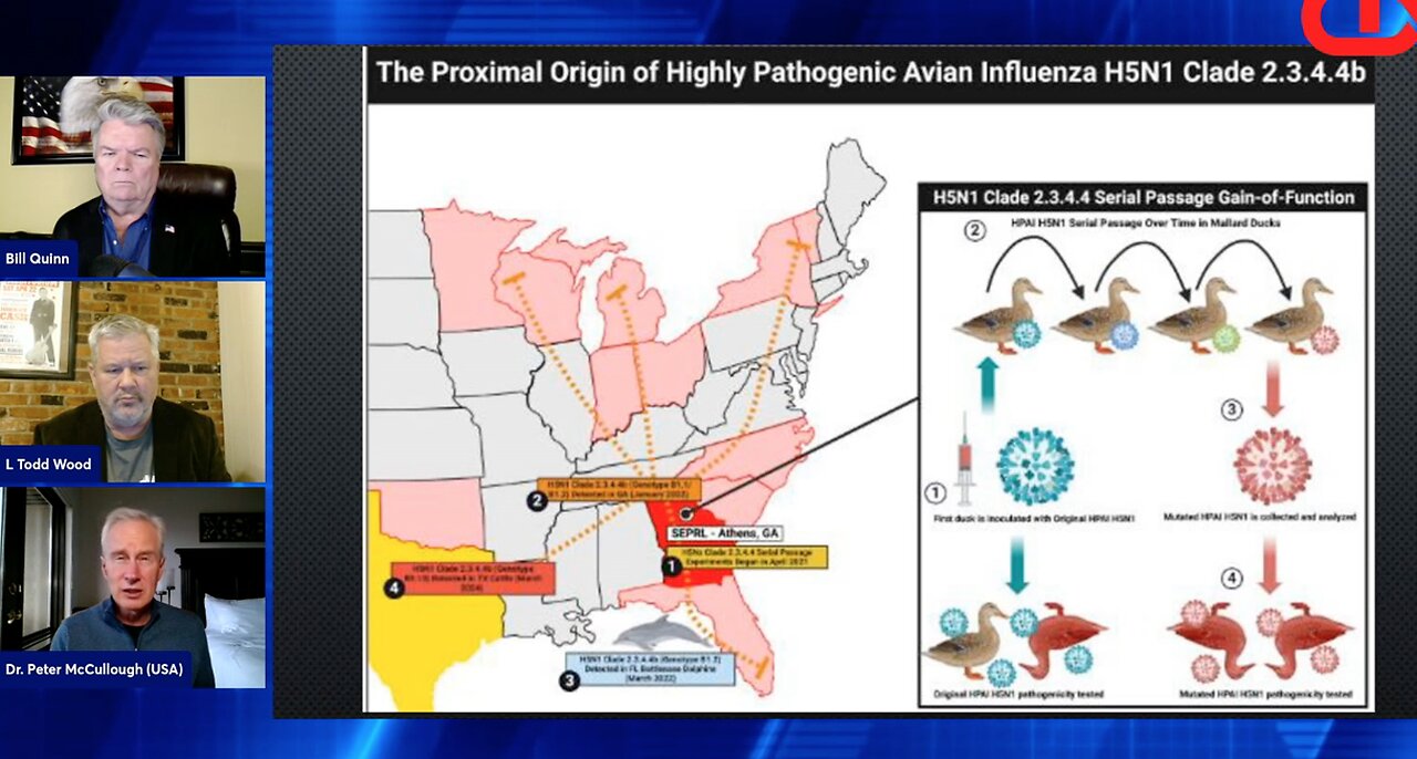 CDM CLIPS: Dr. Peter McCullough On Bird Flu Spread/Danger