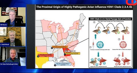 CDM CLIPS: Dr. Peter McCullough On Bird Flu Spread/Danger