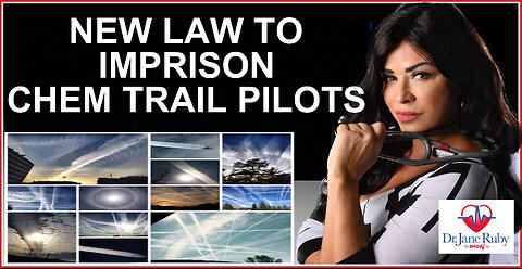 New Florida Law Will IMPRISON and FINE Chem Trail Pilots. 2-12-2025