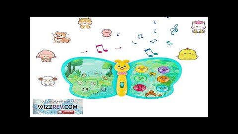 Multifunctional Electric Interactive Musical Moth Toddlers Baby Educational Sound and Light Review