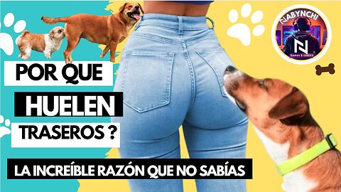 ¿Qué descubren los perros al oler traseros La verdad revelada