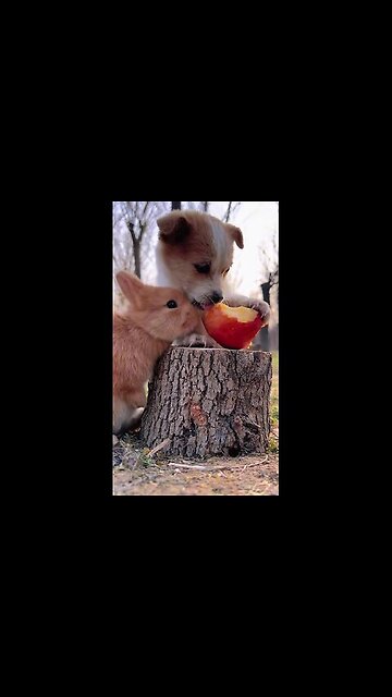 Bunny don't care bunny still eating