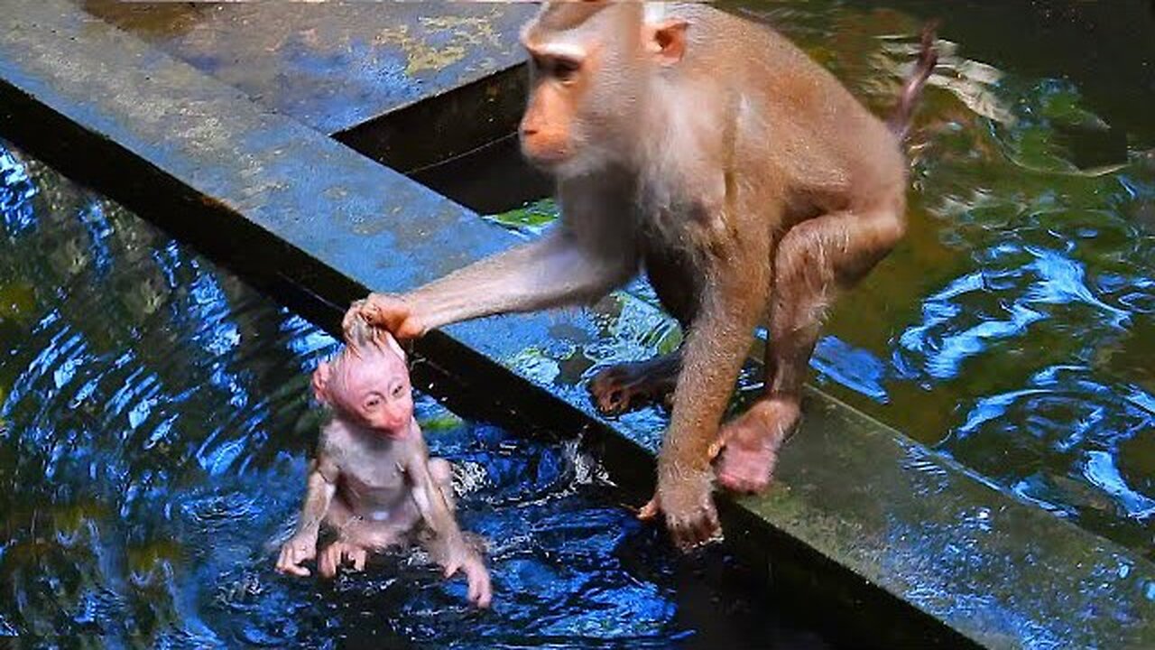 Libby Drops Baby Leo into Deep Pool in a Moment of Unhappiness | Heart-Stopping Moment"