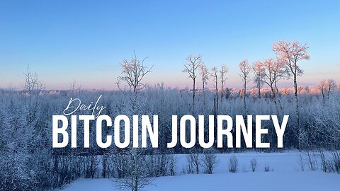 daily bitcoin journey #283 - bitcoin has no competition