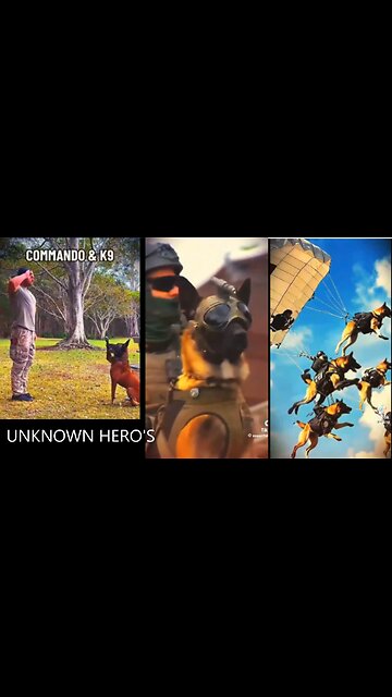 You'll be thunderstruck! 🔥🔥