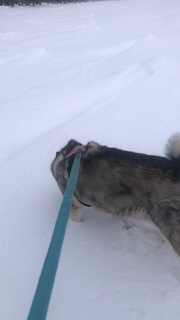 Sunday February 9, On the seventh day