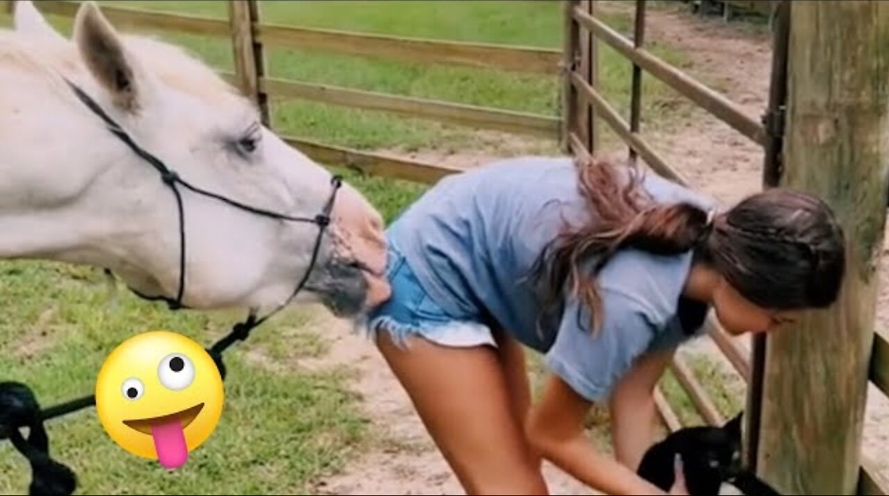 FUNNIEST Farm Animals_ 😂 _ Best Videos for families