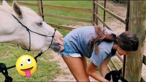 FUNNIEST Farm Animals_ 😂 _ Best Videos for families