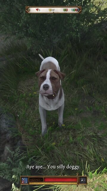 Mutt became Krypto the Super Dog. Kingdom Come Deliverance 2 glitch. #kcd2 #superman #gaming
