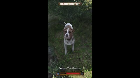 Mutt became Krypto the Super Dog. Kingdom Come Deliverance 2 glitch. #kcd2 #superman #gaming