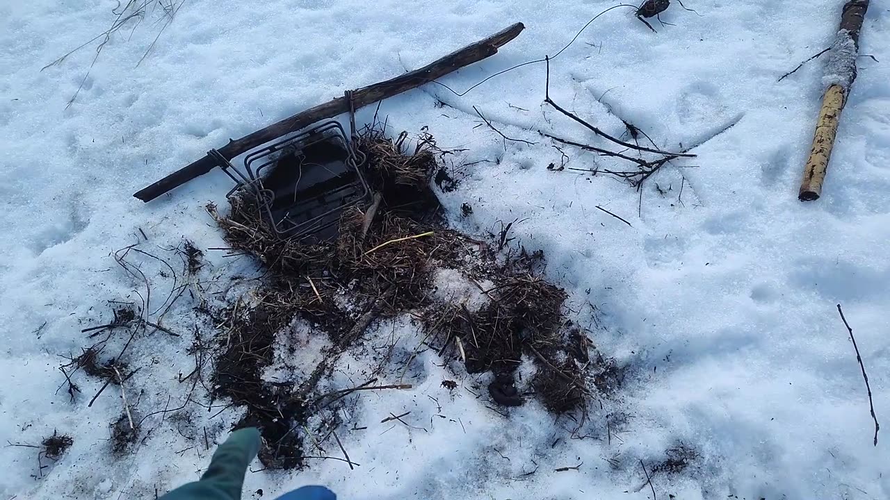 March 3-5, 2025 - Beaver Trapping