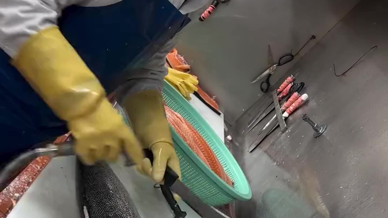 Amazing Fish Cutting Skills 💯 #shorts #fishing #fishcutting #fishcuttingskills #salmon