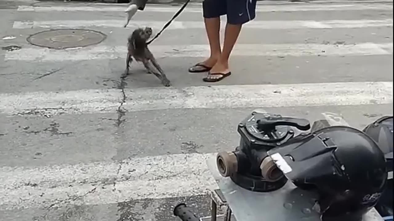 Respect