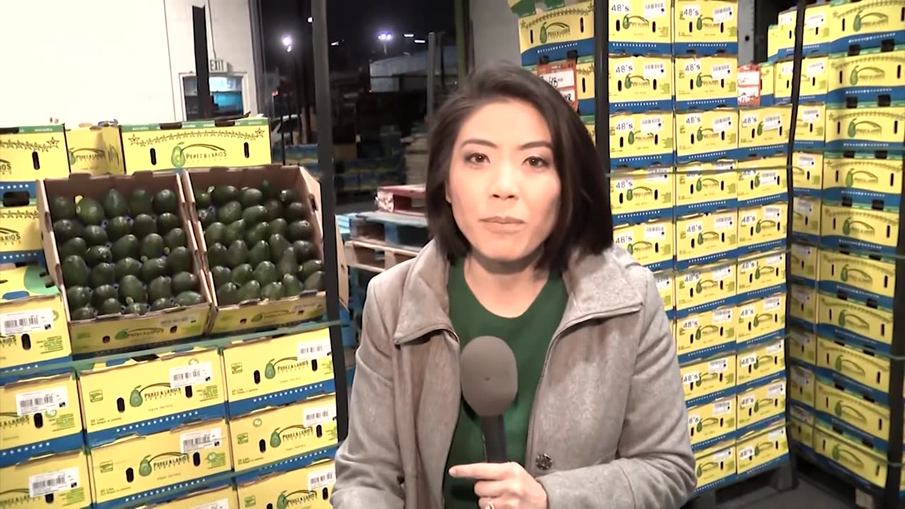 'We're going to get decapitalized really quick': Distributor voices concerns over Trump's tariffs