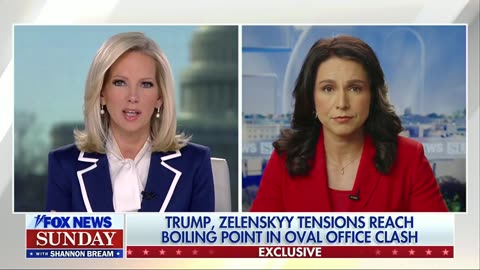 Tulsi Gabbard drops Ukraine bombshell after disastrous Trump and Zelensky White House meeting