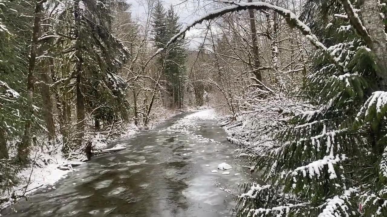 Gold Hunting To Shovel Sledding!