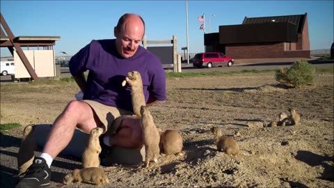 Best animal interaction! Prairie Dogs Versus Cat! Just Watch!