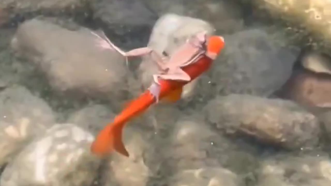 When you teach your wife to swim 🥺