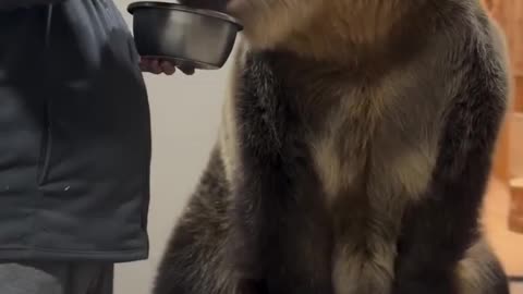Breakfast in Russia