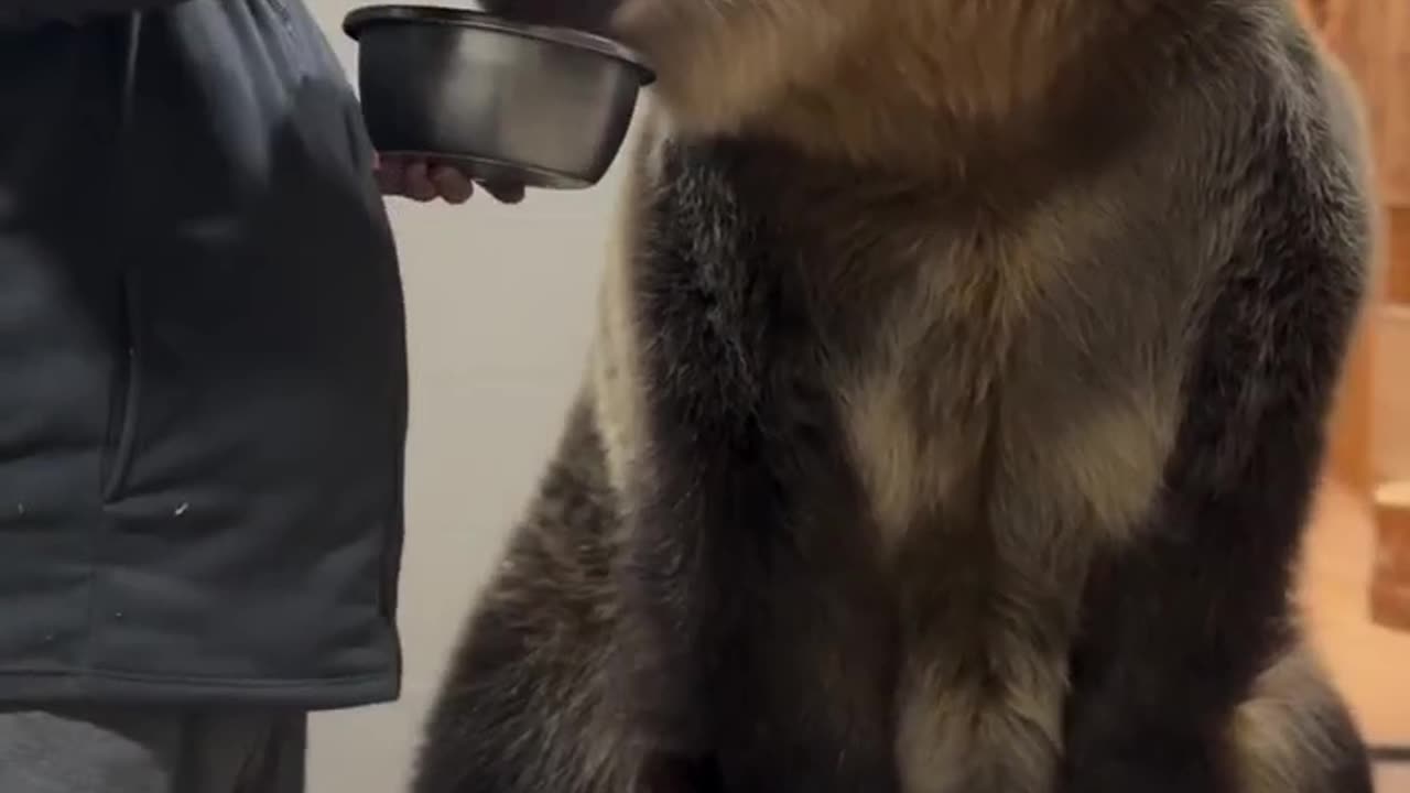 Breakfast in Russia