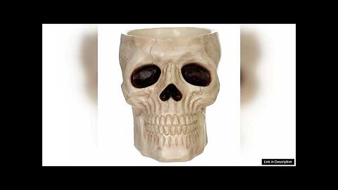 Skull Candy Bowl Review