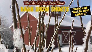 “Barn Show Shorts” Ep. #430 “Mellow Mood Mondays”