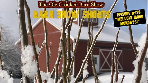 “Barn Show Shorts” Ep. #430 “Mellow Mood Mondays”