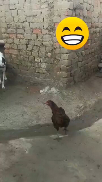 Nowdays everything is in wrong place like this he