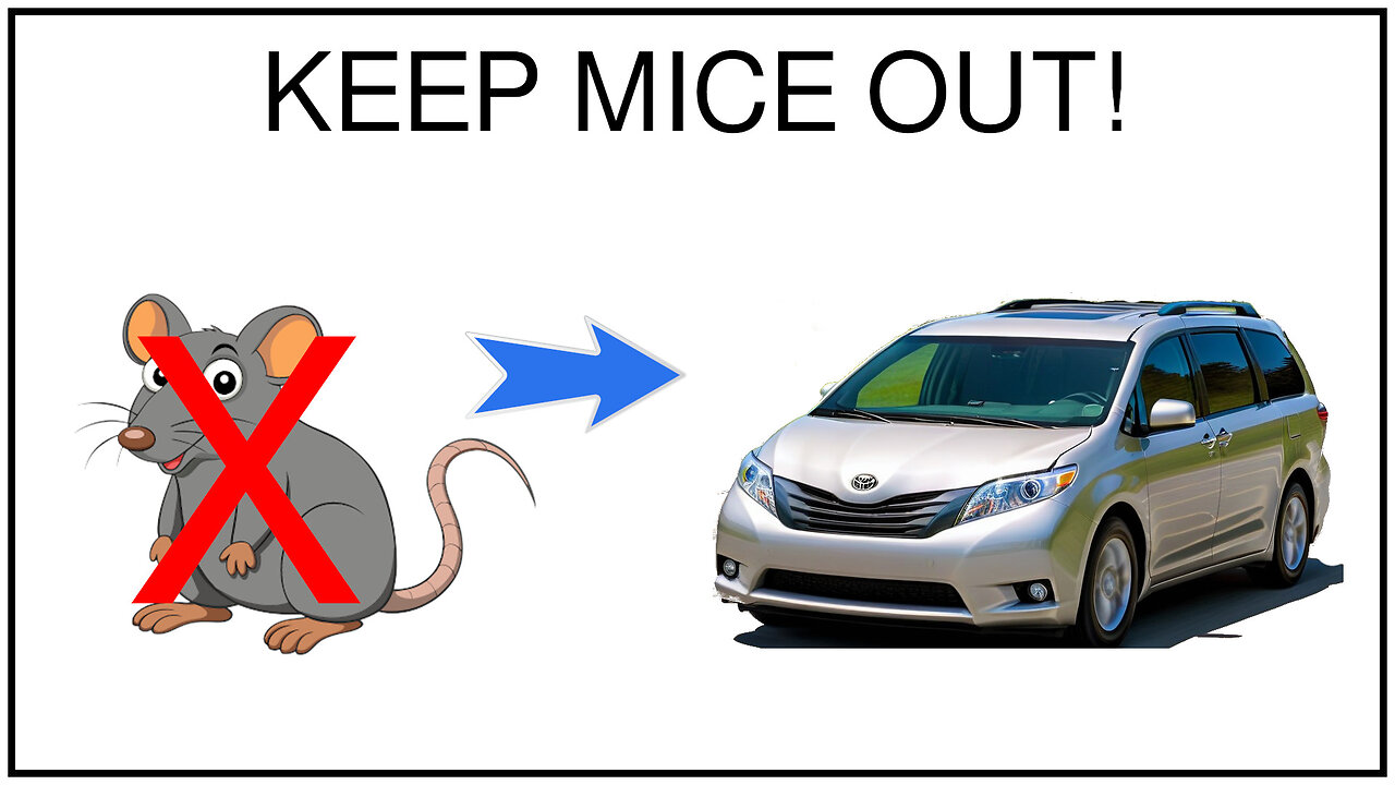 Keep Mice Out Of Your Toyota (maybe other vehicles too)