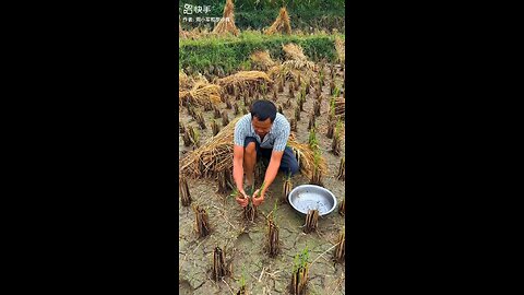 fishing in field