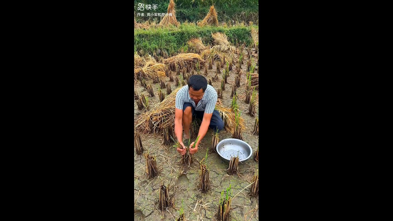 fishing in field