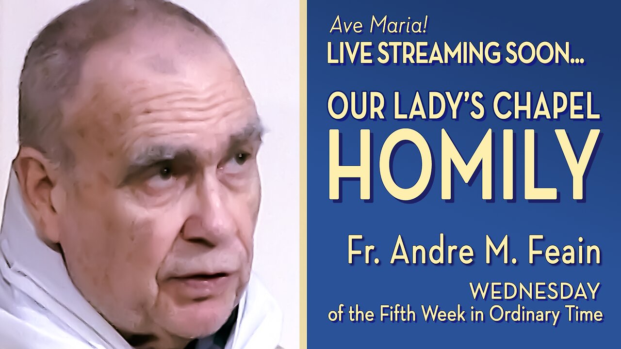 Wednesday of the Fifth Week in Ordinary Time - February 12, 2025 - HOMILY