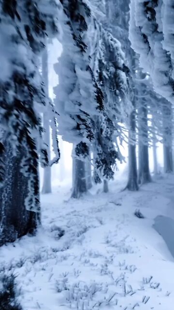 🤯🤯🤯🤯💥💀