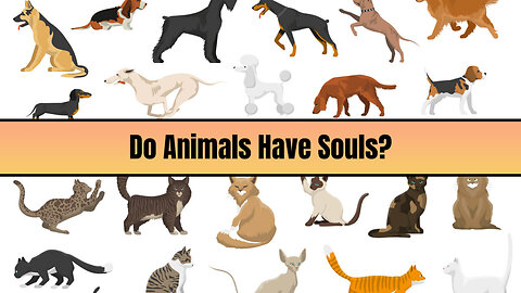 Do Animals Have a Soul? Let's See What the Bible Says!