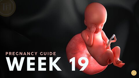 What to Expect at Week 19 | Week by Week Pregnancy Guide