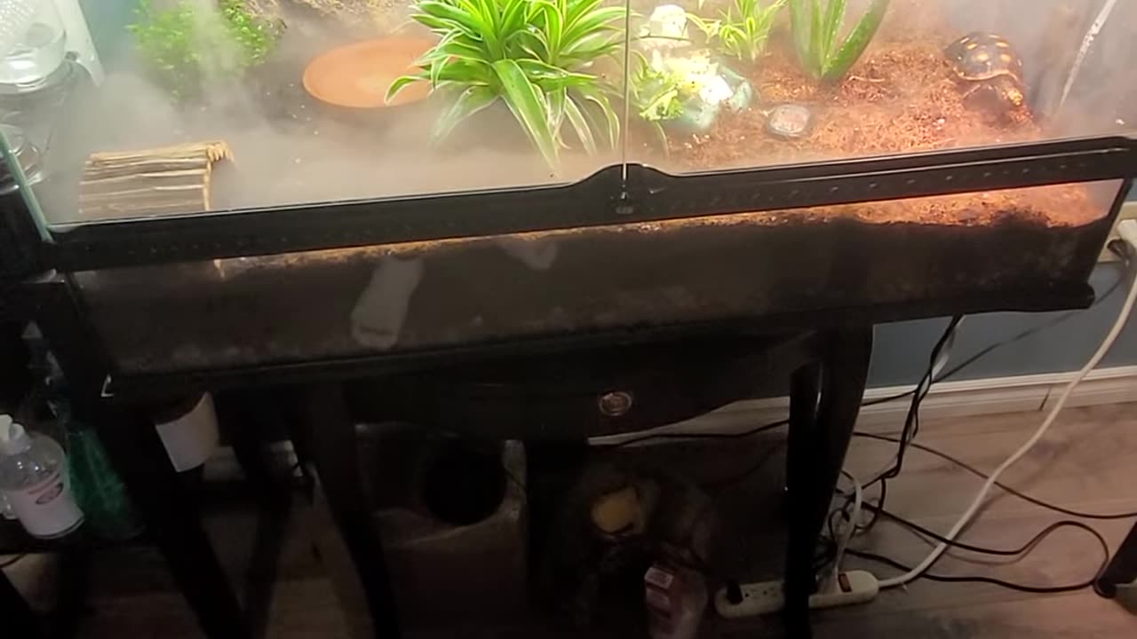 he thinks he is invisible lol [GeFKN8vqqz4]