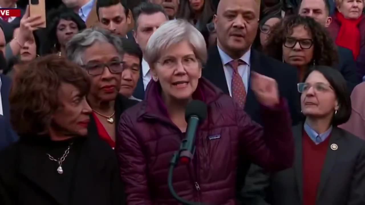 Angry Liz Warren Takes the Mic at the ‘Nobody Elected Elon’ Rally