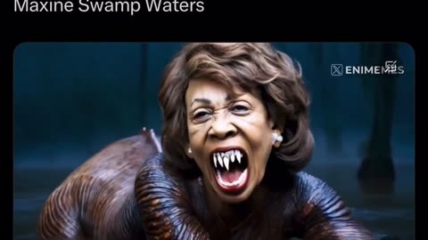 Sheboon Maxine Waters in the Swamp
