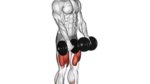 dumbbell-deadlifts