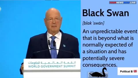 Klaus Schwab on 'Black Swan' Events