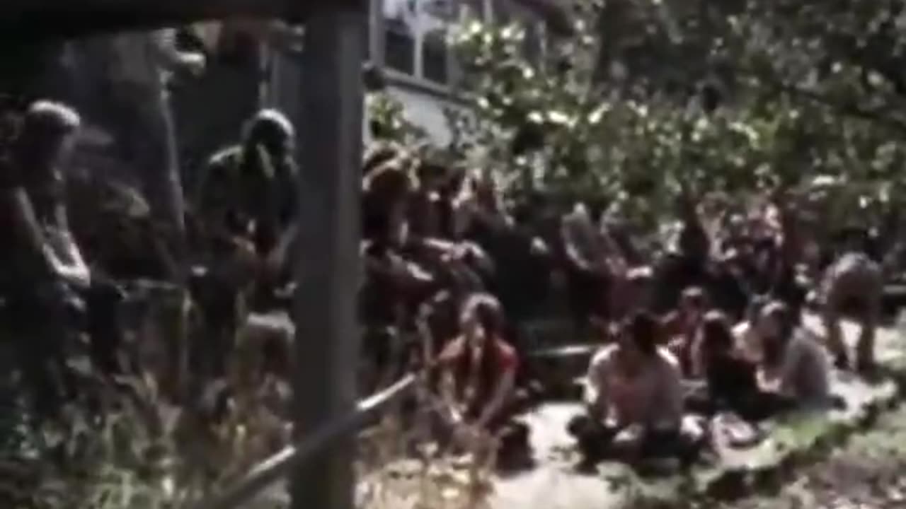 1972 Clip of David Suzuki Comparing Humans to Maggots