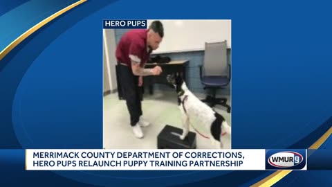 Merrimack County Department of Corrections relaunches Hero Pup program