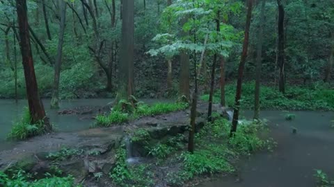 The streams and rain in the valley