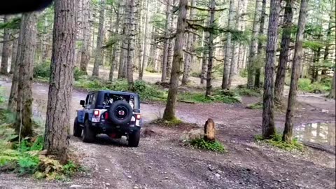 Snow Melt and Heavy Rain Flood the trails