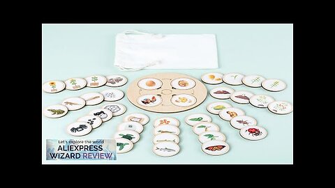 Life Cycle Board Montessori Kit Biology Science Education For Kids Sensory Tray Review